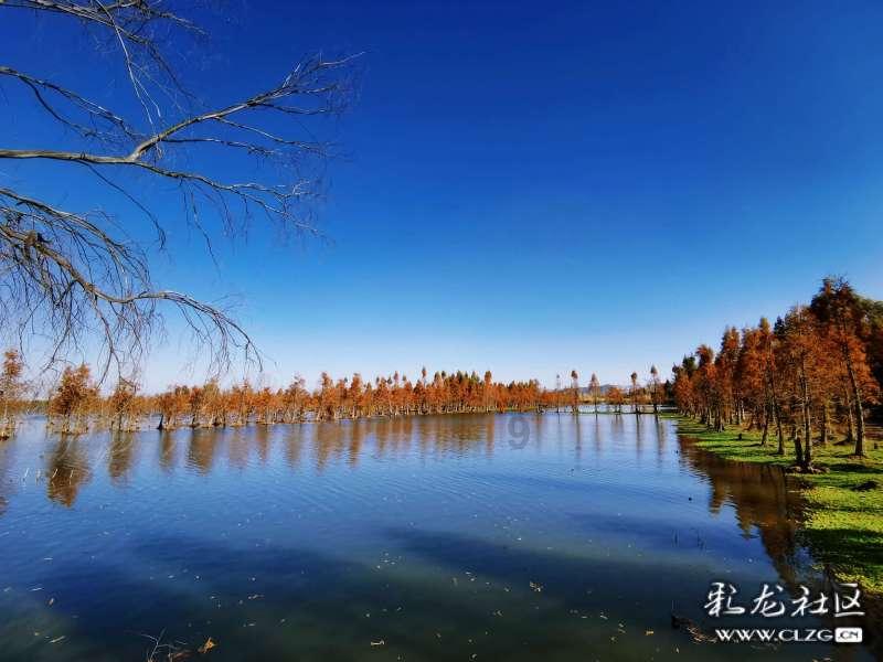杭州注册会计师补贴政策——机智问答网页,快速解答你的疑问
